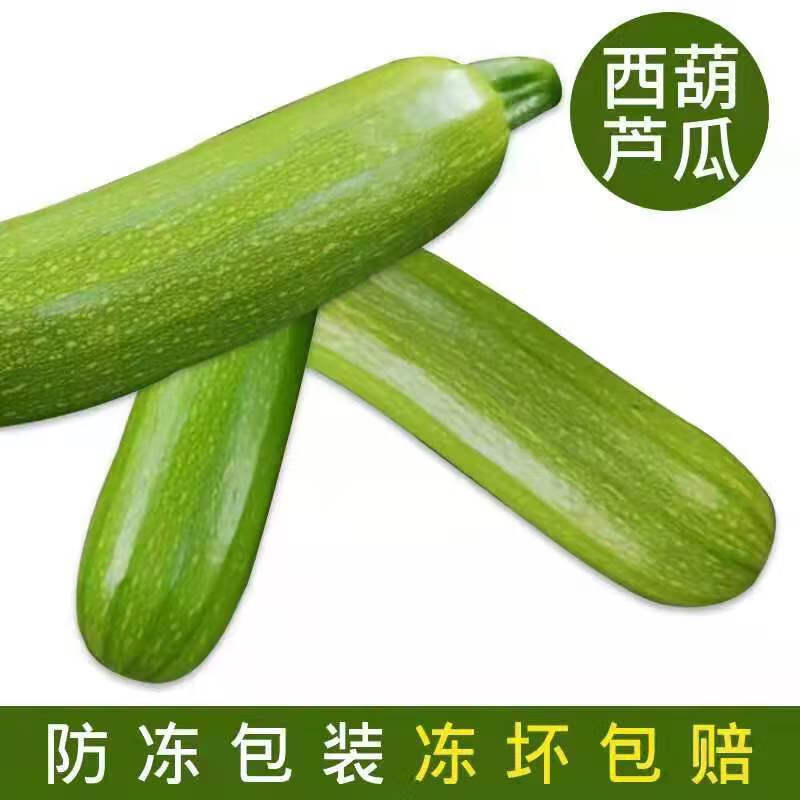 新鲜蔬菜西葫芦三月瓜笋瓜茭瓜倭瓜5斤3斤嫩角瓜青番瓜白瓜9斤5斤防冻