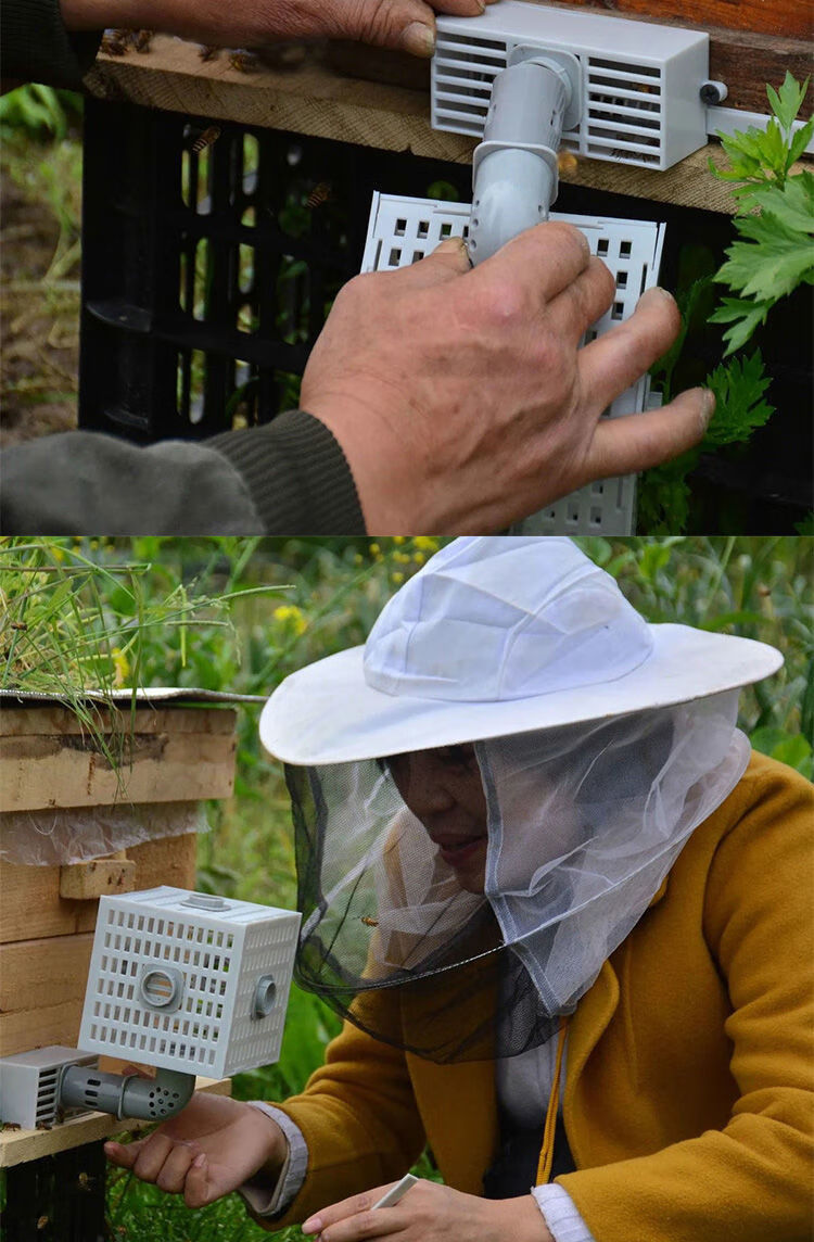 中蜂土养自然自动多功能分收蜂器除雄蜂隔王笼圆桶方箱老式箱蜂具多