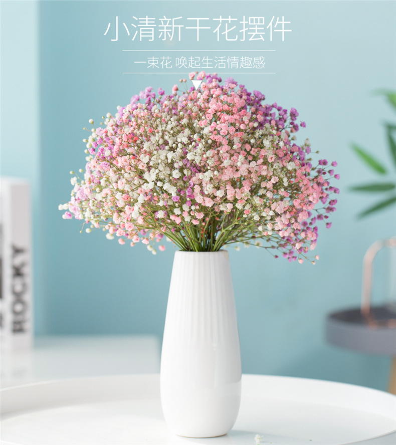装饰摆件勿忘我鲜花真花风干插花 三色满天星(白 蓝 粉)(不含花瓶)