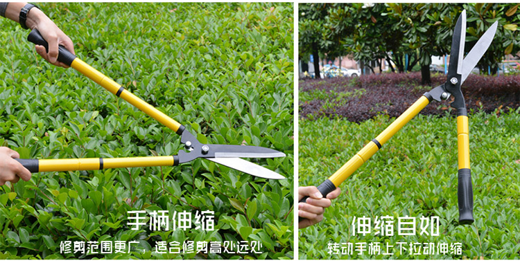 手动工具 蒲阳世家 把剪树剪刀具伸杆果树剪修剪刀果园把修剪树枝剪刀