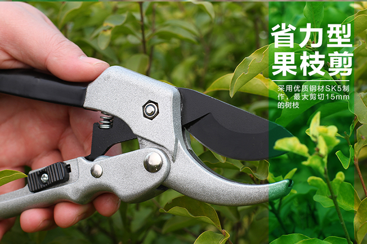 钢材园艺剪刀修枝剪园林修剪树枝果树剪子粗枝剪花木工具普通小剪