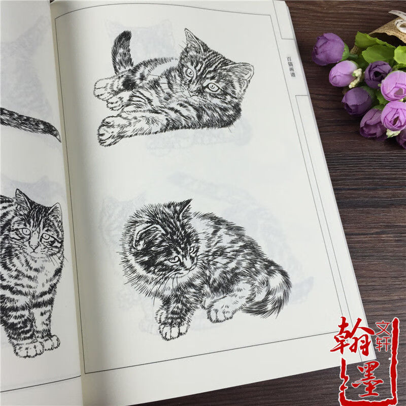 百猫画谱 线描白描画谱 绘画动物白描底稿 工笔底稿中国画线描 猫