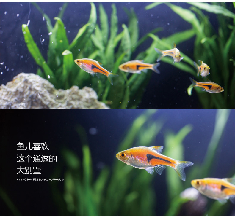 匠心坊客厅竹流水鱼缸小型桌面微造景观喷泉养鱼创意工艺家居摆件