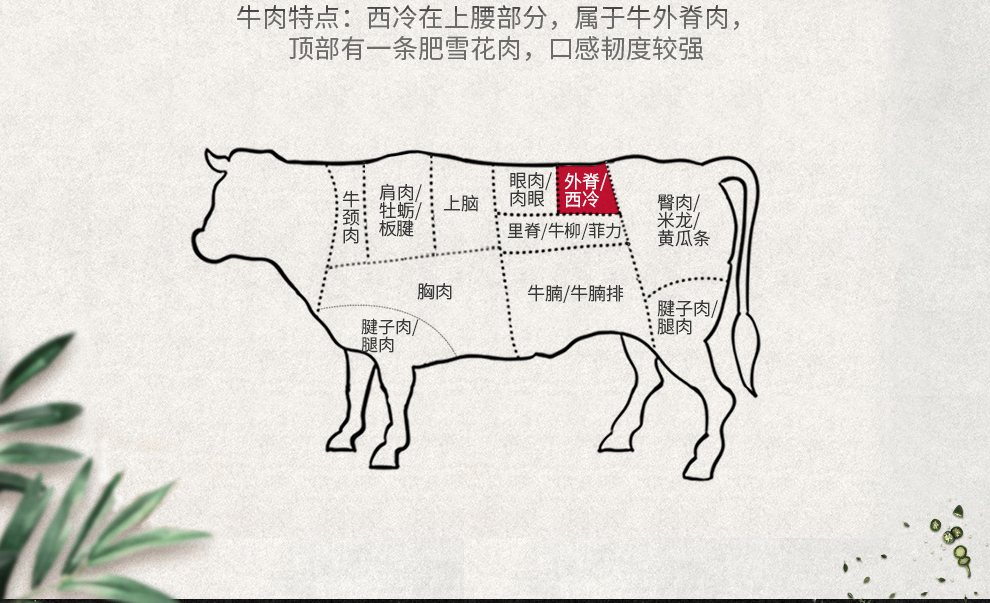 牛肉特点:西冷在上腰部分,属于牛外脊肉顶部有一条肥雪花肉,口感韧度