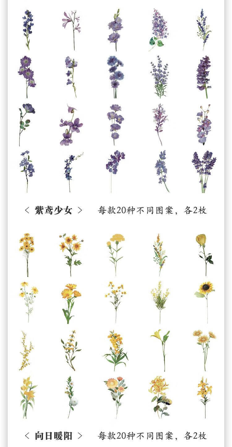 14，自然博物館手賬貼紙包複古兒童手帳貼畫pet花草蝴蝶貼貼紙 純白巡禮-40張