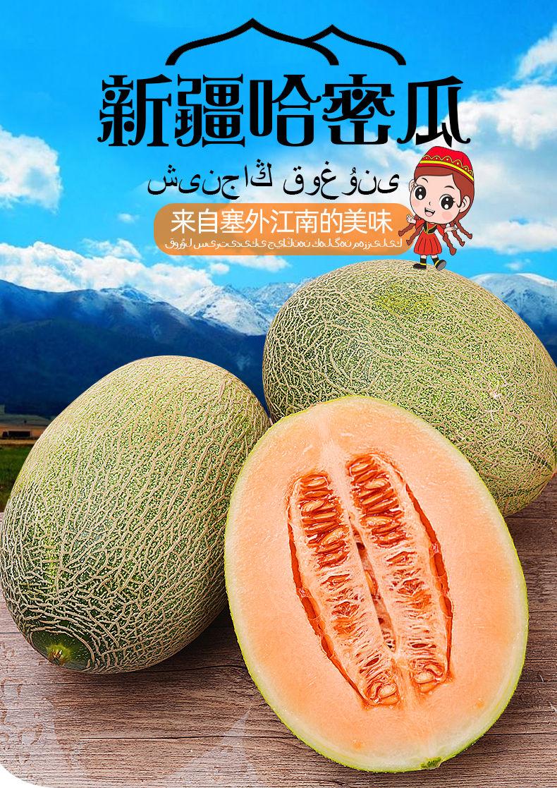 新疆哈密瓜 西州蜜瓜 水果新鲜网纹瓜批发 10斤带箱