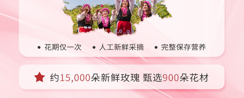 佰芳源玫瑰精油按摩spa男女全身私处通用刮痧经络开背 玫瑰精油500【买一送一】