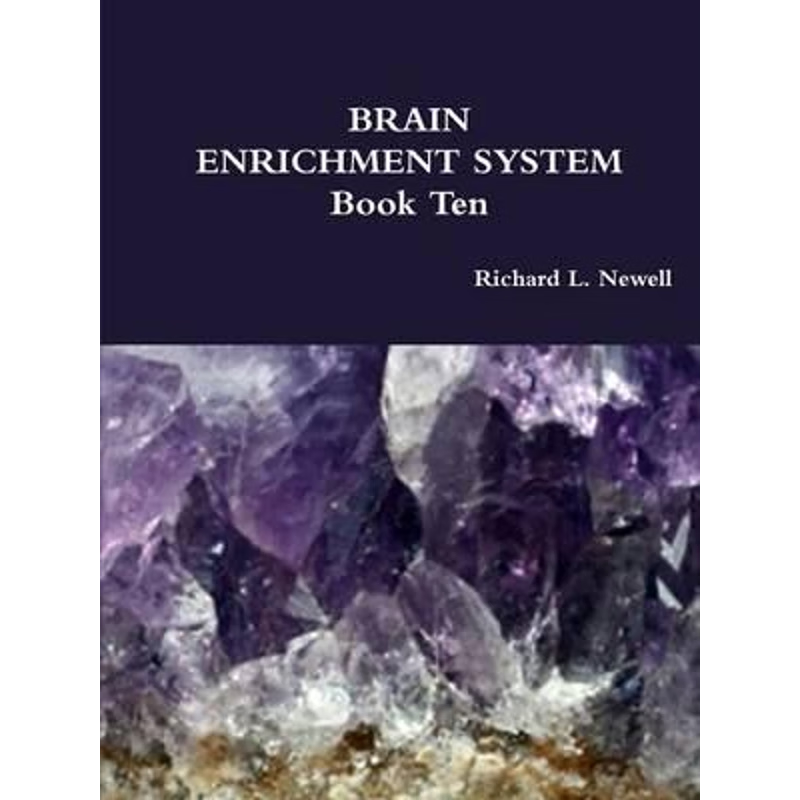 按需印刷不退不换Brain Enrichment System Book Ten[9781312758025]