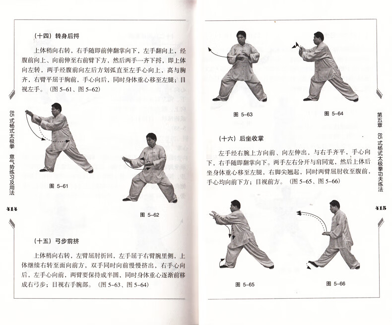 85式杨式太极拳意气势练习及用法(安在峰作者)杨式太极拳武术研究养生