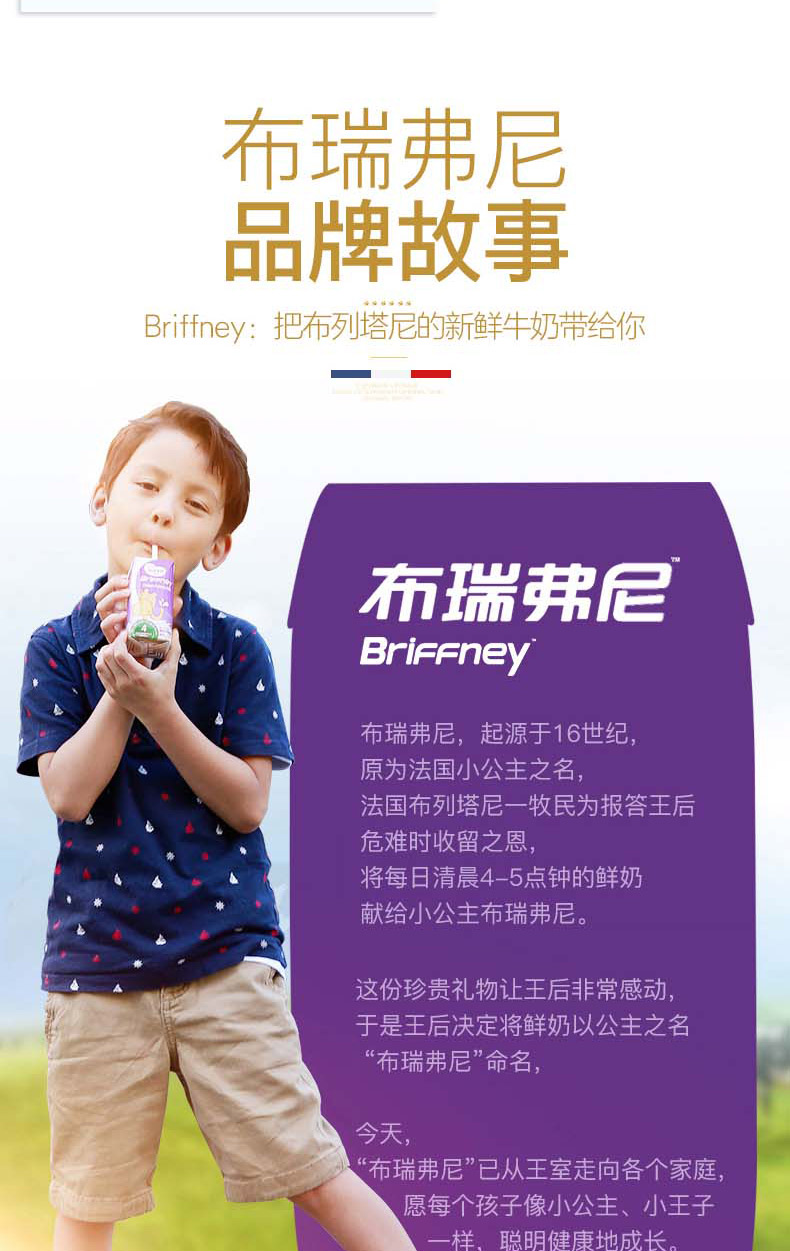 法国原装进口 圣元(synutra)优博 布瑞弗尼 4段儿童配方牛奶(适合3岁