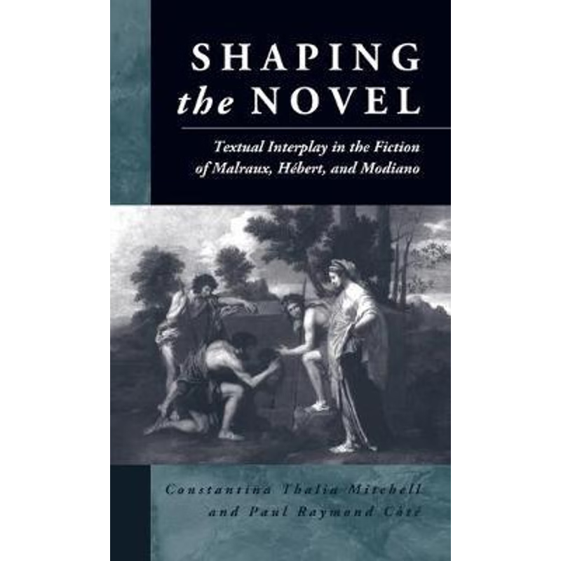 按需印刷Shaping the Novel[9781571810366]