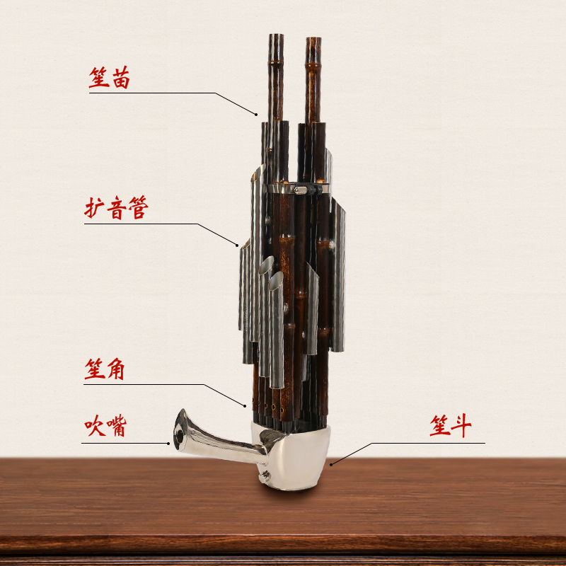 宏艺凤鸣14d簧17簧21簧初学专业扩音紫竹圆笙方笙乐器
