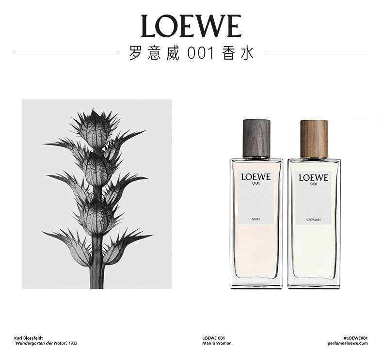 罗意威（LOEWE） 001男女士淡香水事后清晨情侣香水送女友新年礼物 男士淡香水50ml