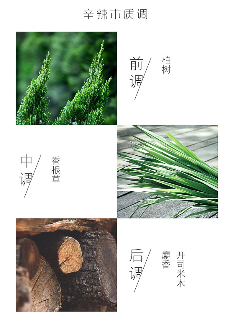 Lalique Encre Noire 墨恋黑泽男士淡香水 运动版 墨恋100ml 简装