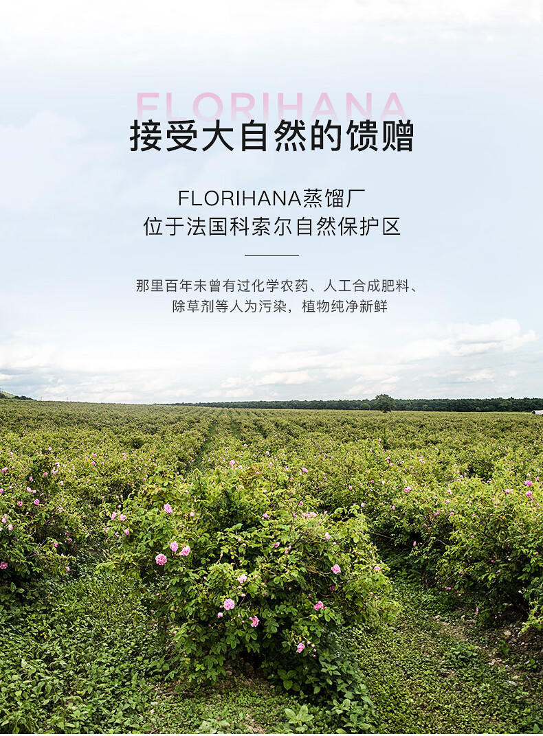 Florihana馥家法国F家大马士革玫瑰纯露花水保加利亚补水保湿爽肤水 200ml