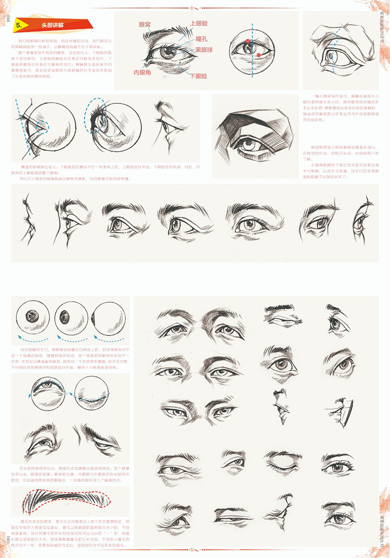 局部五官基础单人组合场景人物速写临摹范本照片对画线面校联高考国