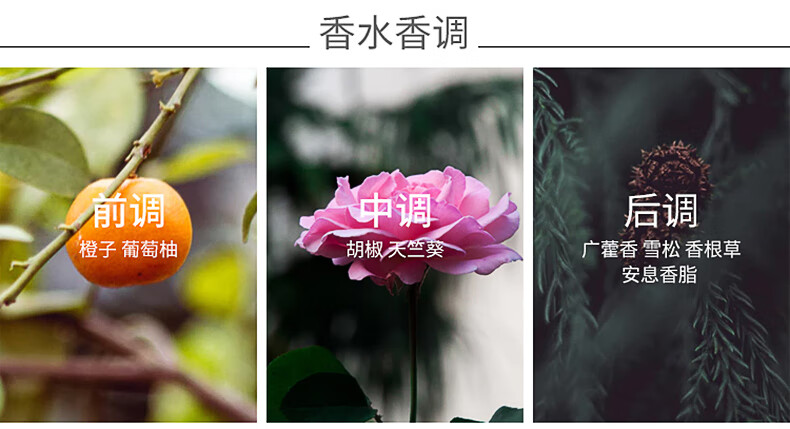 爱马仕（HERMES）Terre D'Hermes 大地男士淡香水持久清新 节日送男友生日新年礼物 大地EDT 50ml