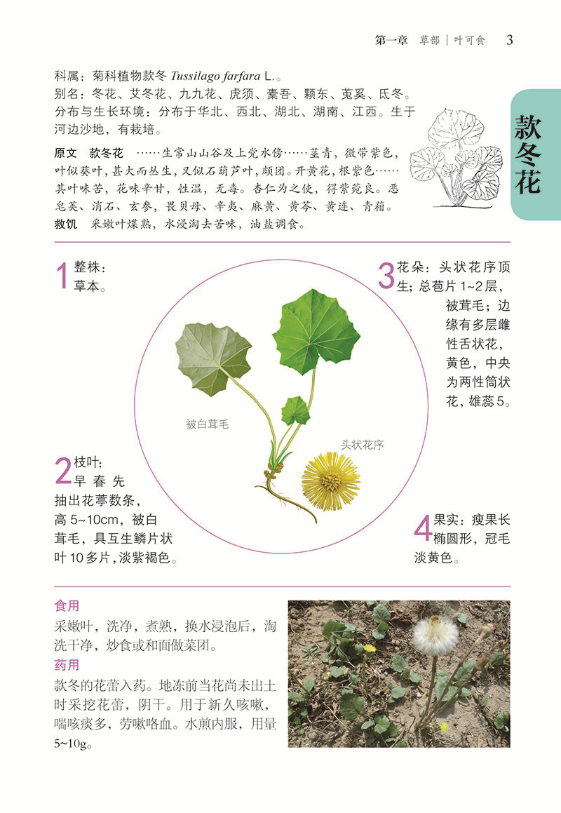 阎玉凝 明朝皇家植物园巡礼 一本真正靠谱的野外可食用植物  本书目录