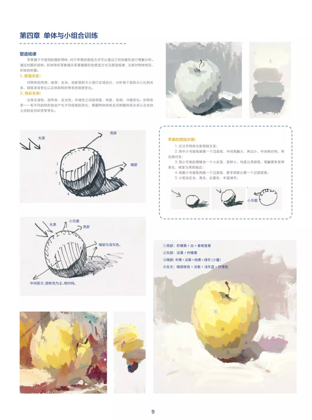 水粉画基础教程构图黑白稿单体衬布塑造组合对画蔬果花卉杂物范画步骤