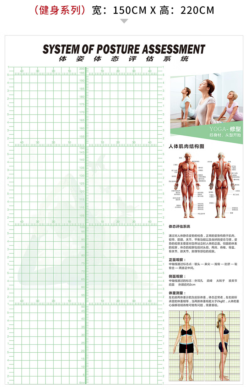 体态评估表健身房壁纸画瑜伽馆中医工作室人体站姿体测图体姿表格 a01