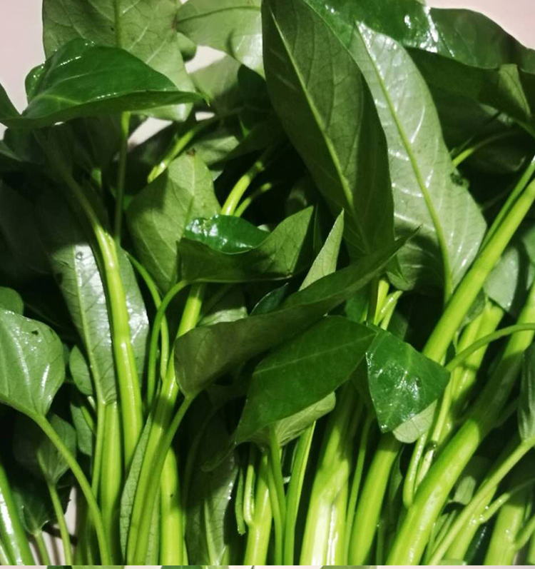 空心菜新鲜重庆农家藤藤菜蕹菜蓊菜通心菜无心菜空筒菜1000g