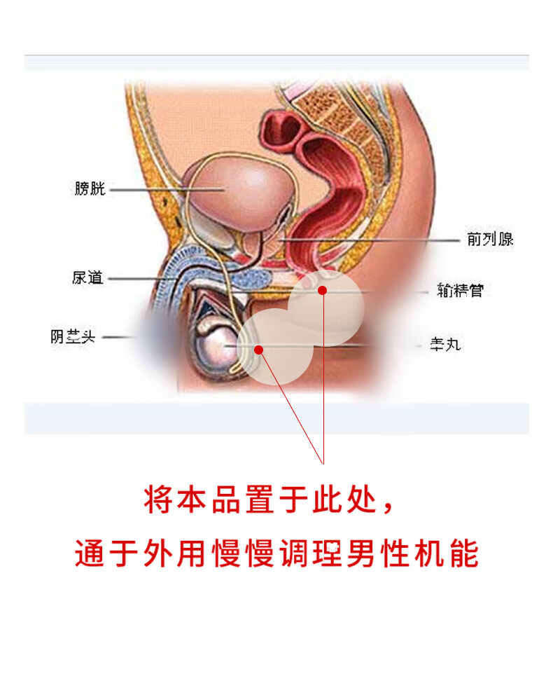 中药男士医护垫雪莲玛卡私处护理阴囊潮湿前列腺不巨肾亏不举痿阳早泄