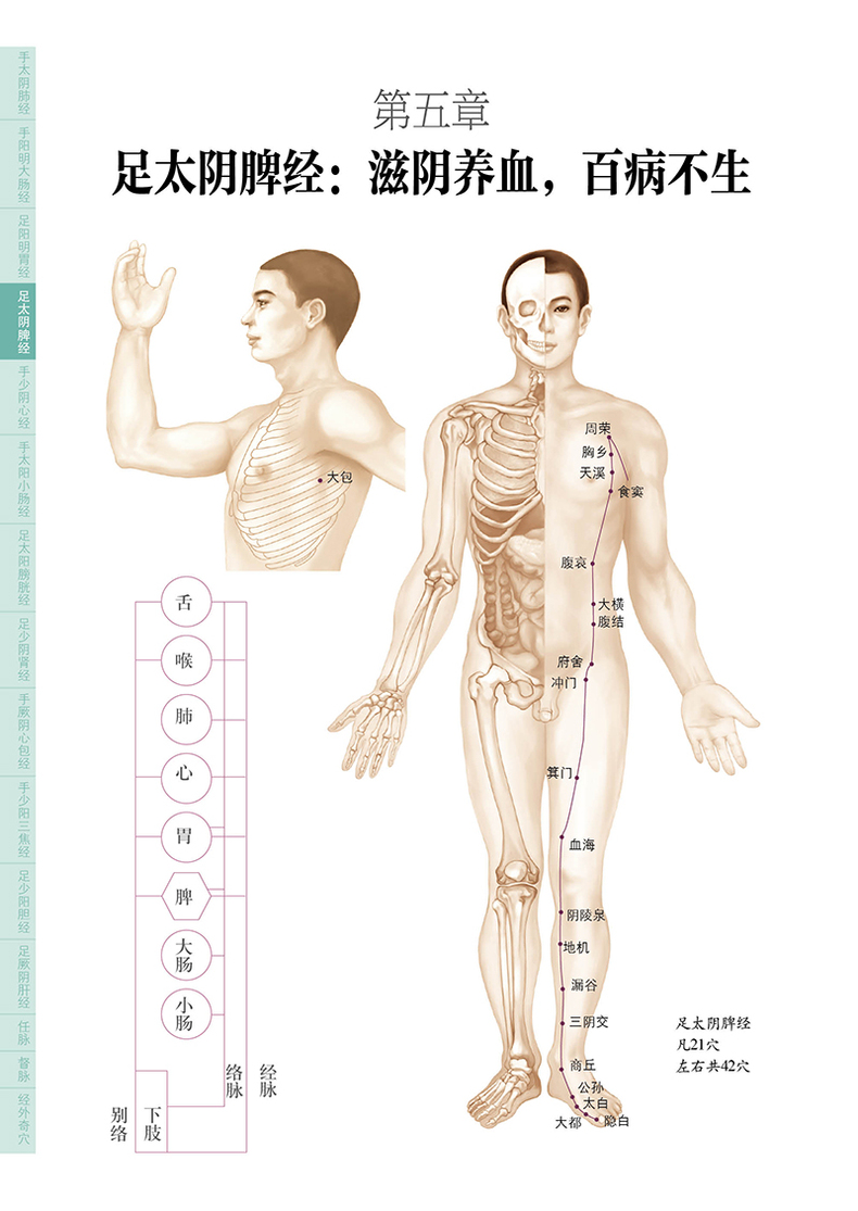 经络穴位按摩大全中医养生书籍大全脾胃调理身体女脾不虚病不找中医
