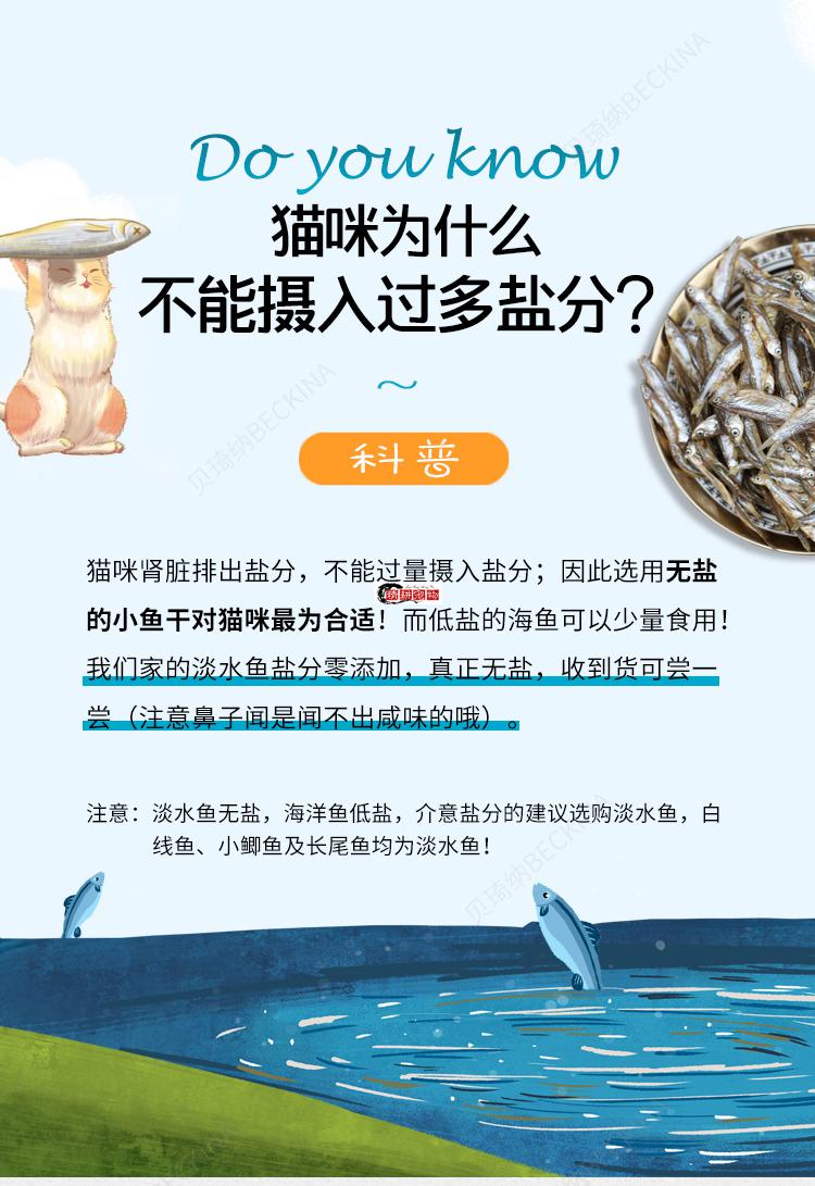 小鱼干淡水无盐猫用品猫狗公白线银剑小黄鱼仔银剑鱼100克装海洋鱼