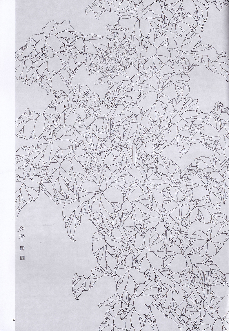 白描画谱热带植物二唯美白描精选国画技法解析福建美术出版社正版