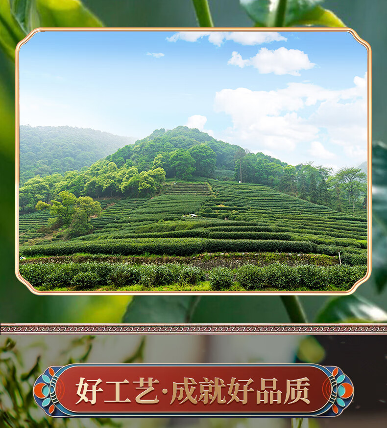 悦己初露 广西横县产特级茉莉花茶雪芽 香气扑鼻 赠送礼袋2022年新茶 250克(125克*2盒)