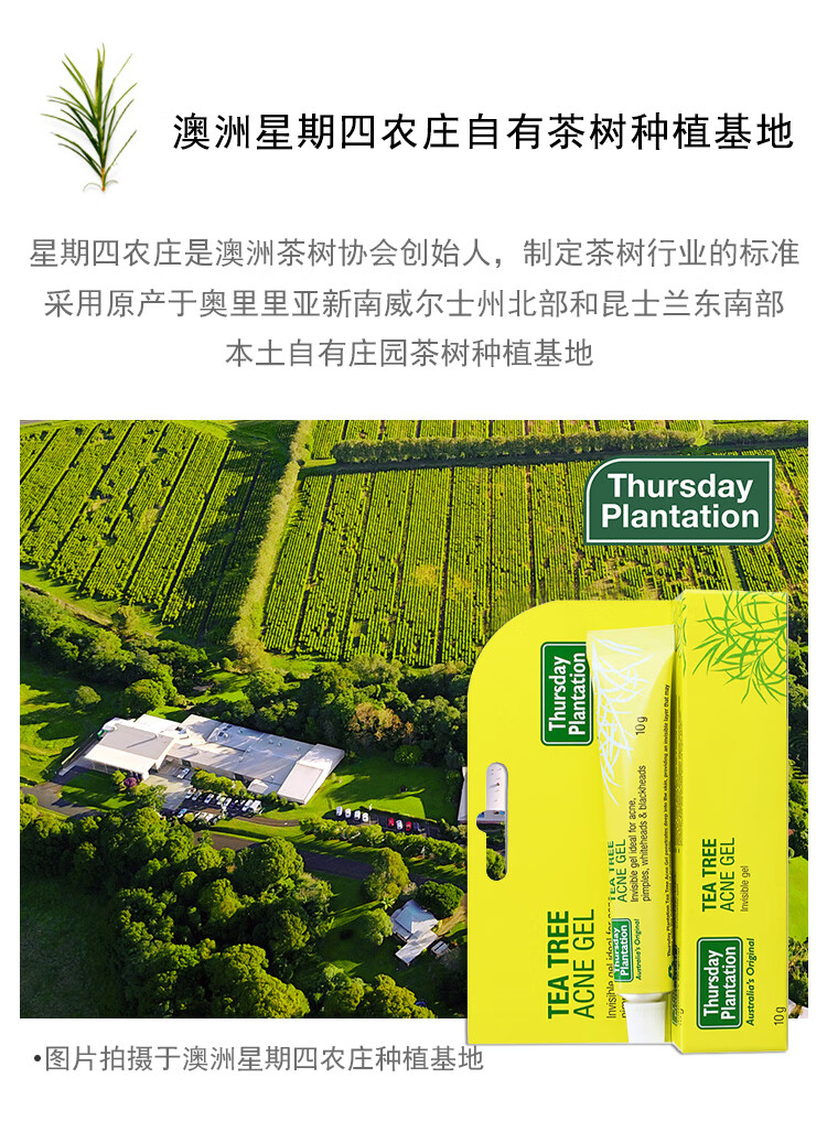 星期四茶树（Thursday Plantation） 星期四农庄祛痘去粉刺暗疮痘印男女进口产品 祛痘10g