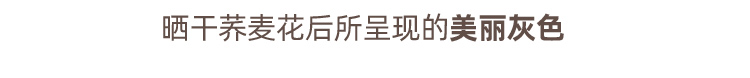 romand 眼影盘四色学生亮片闪粉大地棕色易上色不飞粉哑光珠光不易脱妆节日礼物 干苹果花DRY APPLE BLOSSOM 01#