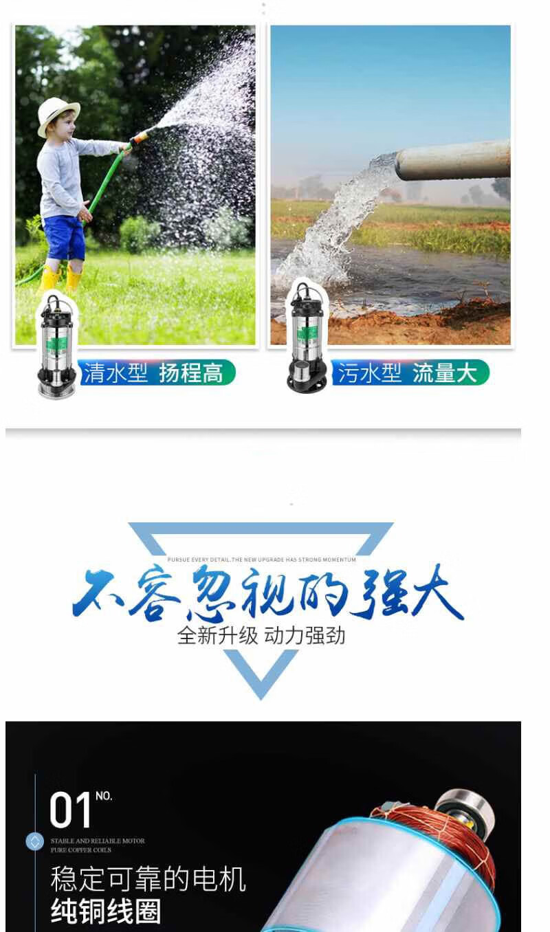 地下水抽水泵220v不锈钢水泵家用抽水农用深井泵自吸泵水井浇地浇菜