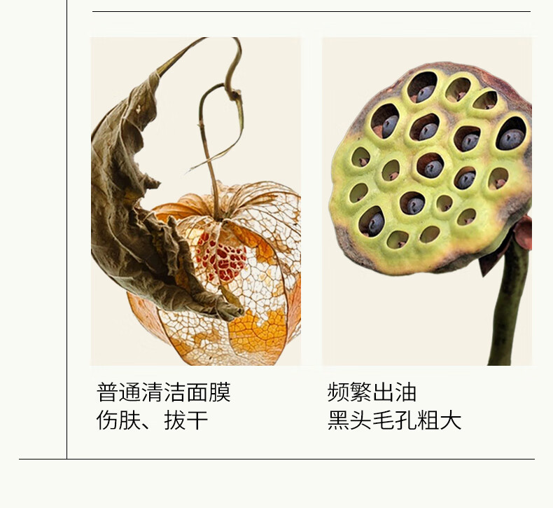 shecara坚果面膜去黑头闭口去角质清洁面膜80g新西兰疯狂的坚果