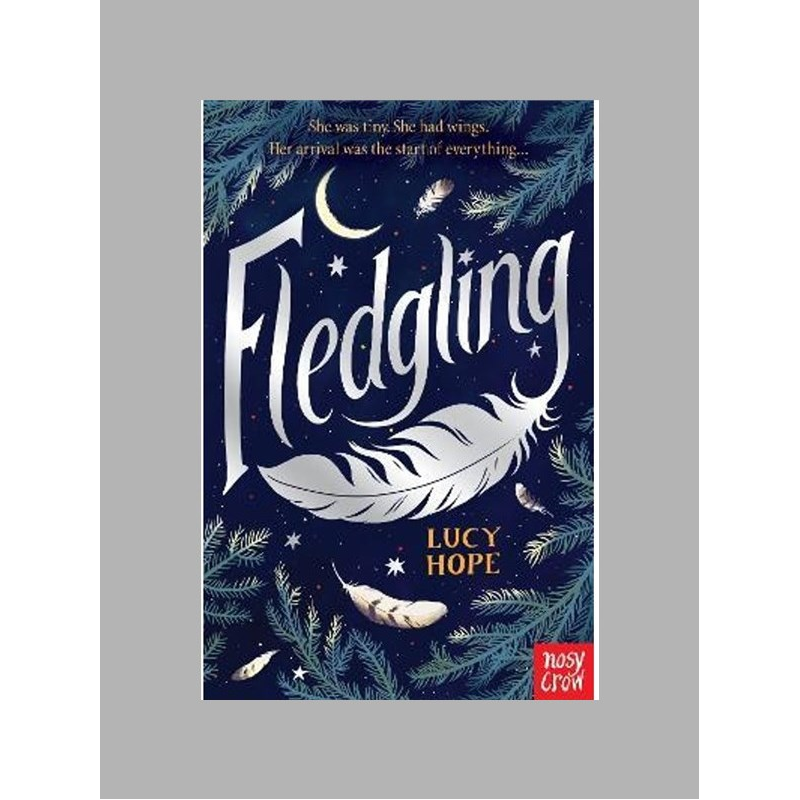 2021新书 Fledgling 英文原版 Lucy Hope 青少年儿童文学英语小说 Nosy Crow 【上海外文书店】