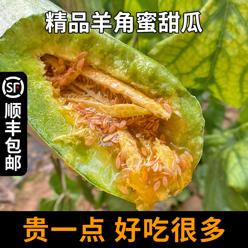 羊角蜜水果新鲜山东潍坊当季应小甜瓜脆瓜羊角脆香顺丰手工严选精品装