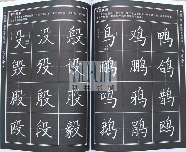 2册粉笔字字帖教师临摹训练 老师 七天学会行楷7天硬笔书法教程教师