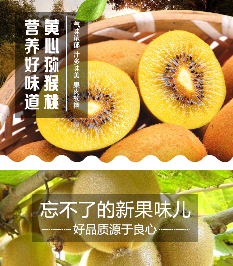 芬果时光 新鲜国产黄心猕猴桃奇异果 24枚装 单果约70-90g 新鲜水果