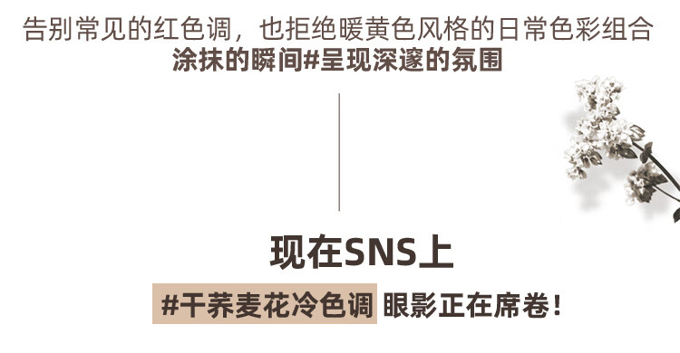 romand 眼影盘四色学生亮片闪粉大地棕色易上色不飞粉哑光珠光不易脱妆节日礼物 干苹果花DRY APPLE BLOSSOM 01#