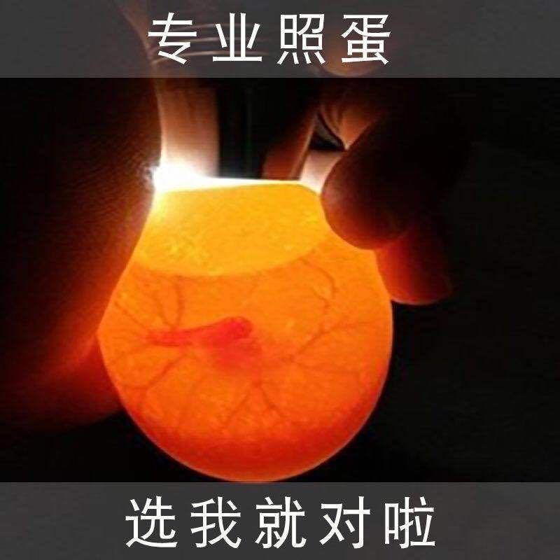 照蛋器强光孵化专用鸡蛋验蛋穿透冷光照蛋灯led充电电筒厚皮蛋专用