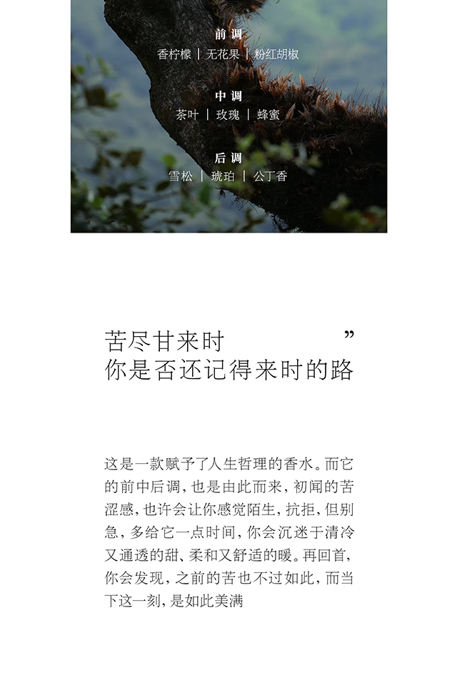 春风十里苦尽男女士香水寺庙香持久淡香夏天学生小众送老婆男友生日礼物 50ml棕色
