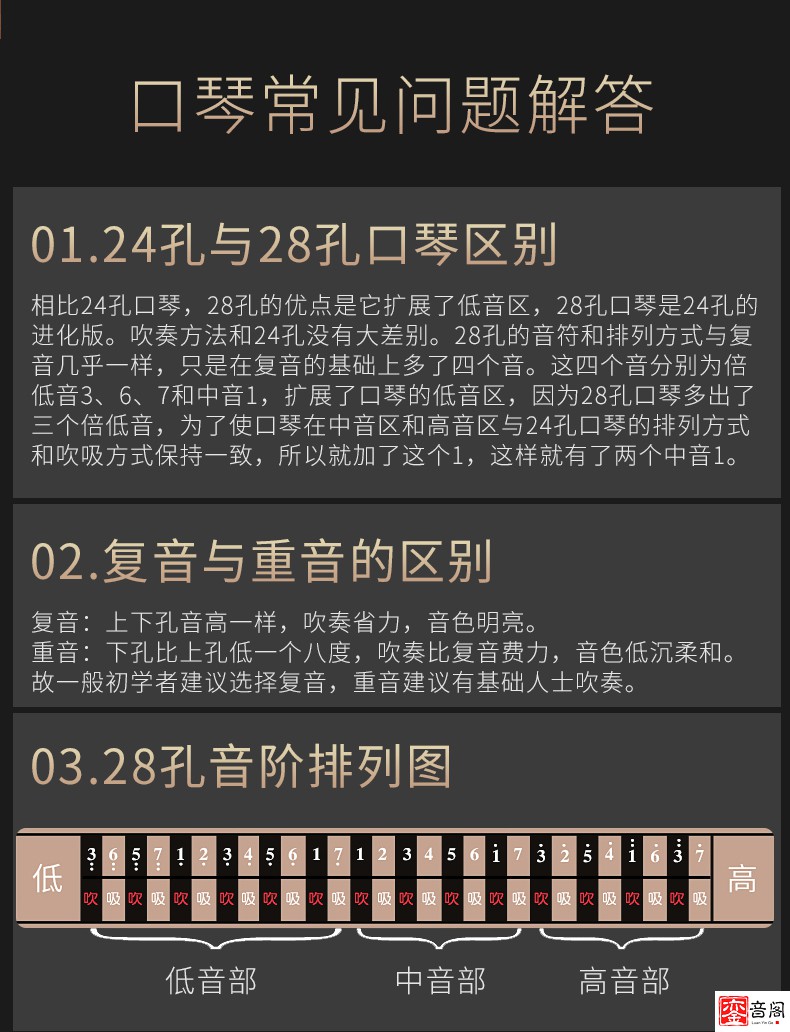 德国进口音簧24孔复音专业演奏级口琴28孔重音学生初学者入门24孔黑色