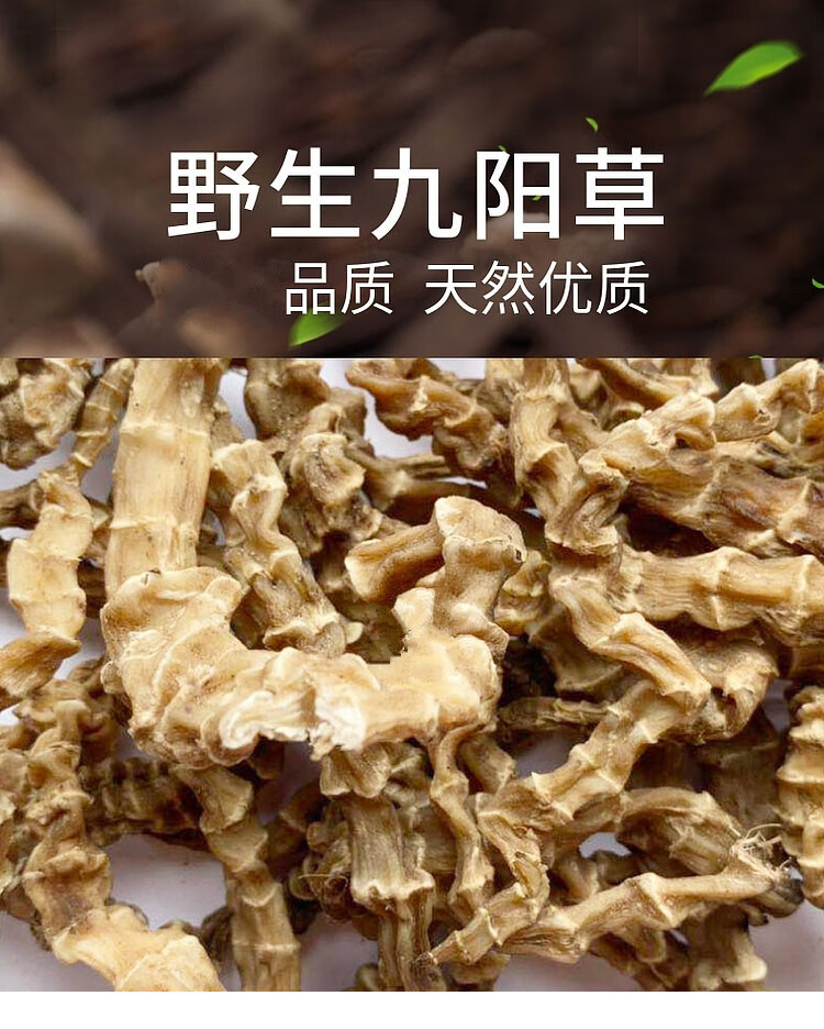 九阳草地参 云南腾冲特产虫草参竹节参干品500g品