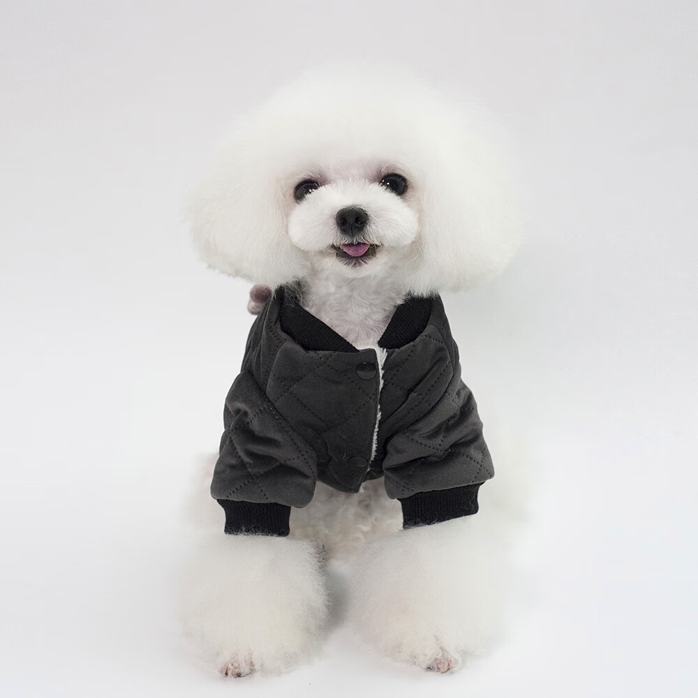 dogbaby宠物棉衣狗狗衣服猫咪衣服泰迪博美贵宾比熊小型犬幼犬秋冬