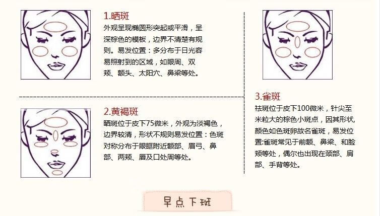 韩泊莉笑影冬虫夏草二合一美白祛斑霜套装淡斑保湿黄褐斑雀斑化妆品 日霜+日霜