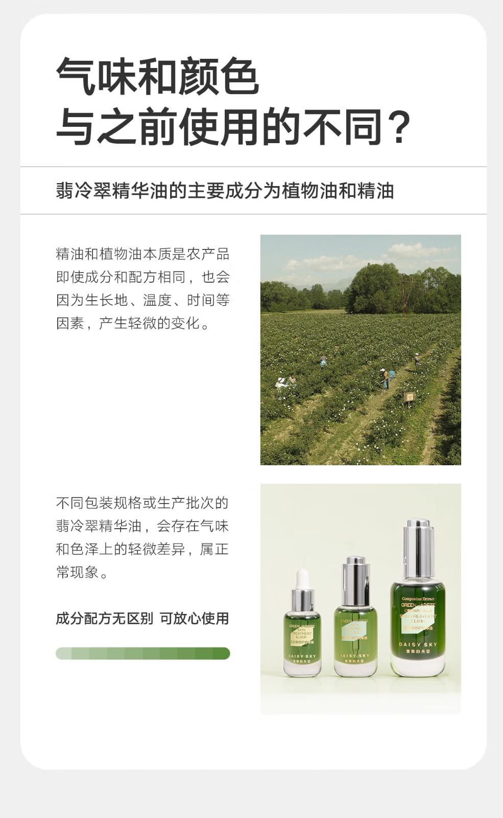雏菊的天空（DAISY SKY）翡冷翠夜间修护精华油抗皱紧致精华油舒缓祛痘控油精华油 30ML
