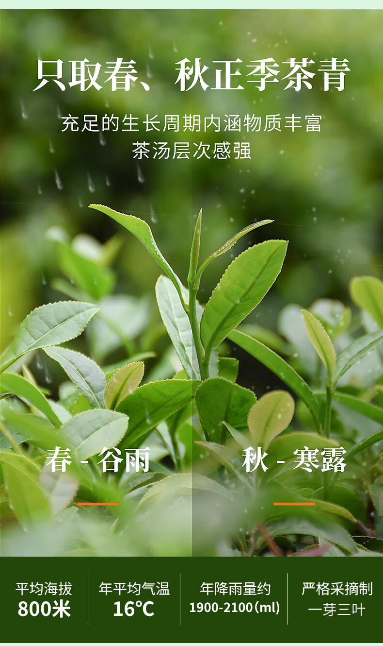 香彻（XIANGCHE） 香彻一级 正宗兰花香明前乌龙茶散装浓香型铁观音 铁观音 500克