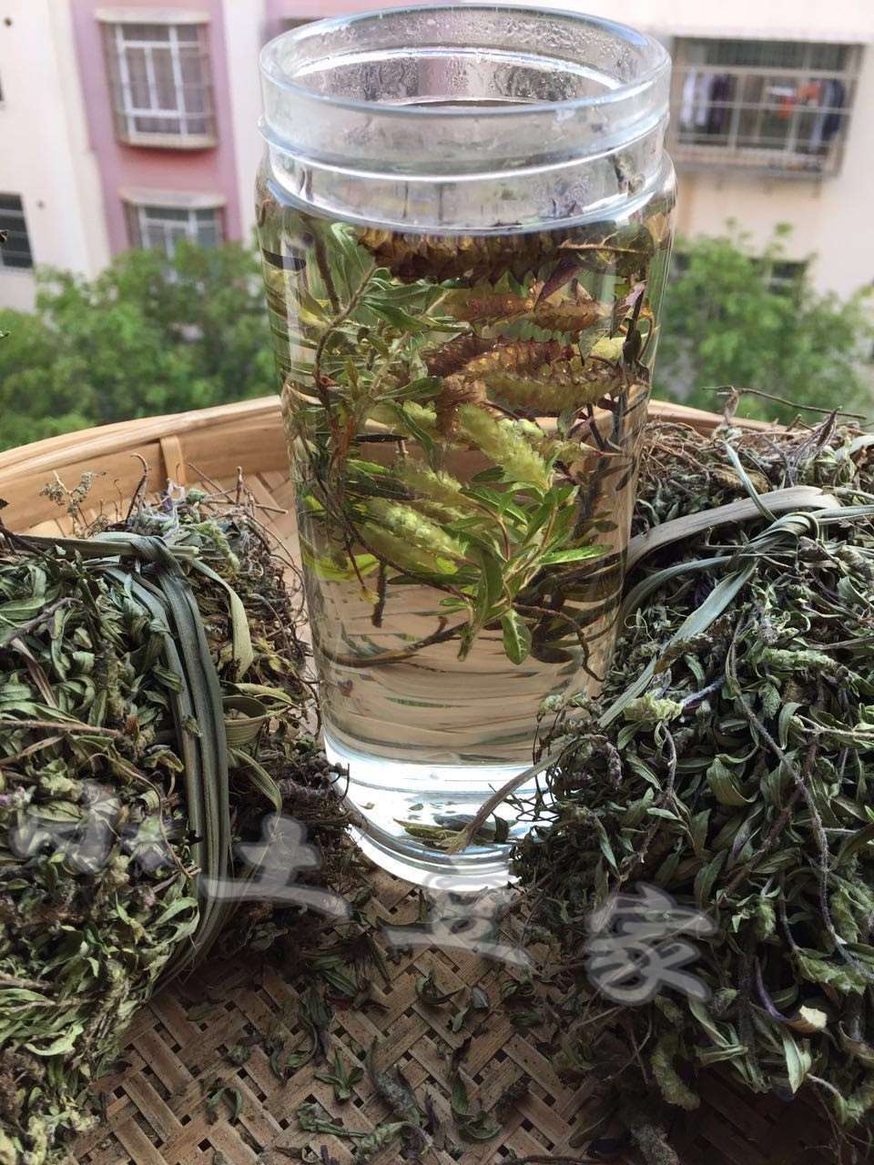 伟博花草茶云南特产茶叶小山茶东紫苏梭罗茶烧烤凉茶散装300g