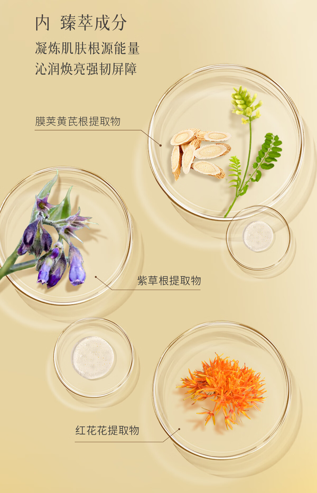 春娟 黄芪古植臻萃精华露45ml抗氧焕亮保湿修护暗沉肌底护肤精华液 尝鲜单瓶