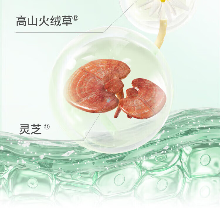 百雀羚 肌初赋活致臻套盒 淡化细纹抗皱提拉紧致套装 礼盒【水+乳+霜+精华+面膜2片】